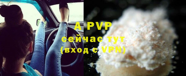 прущие грибы Абаза