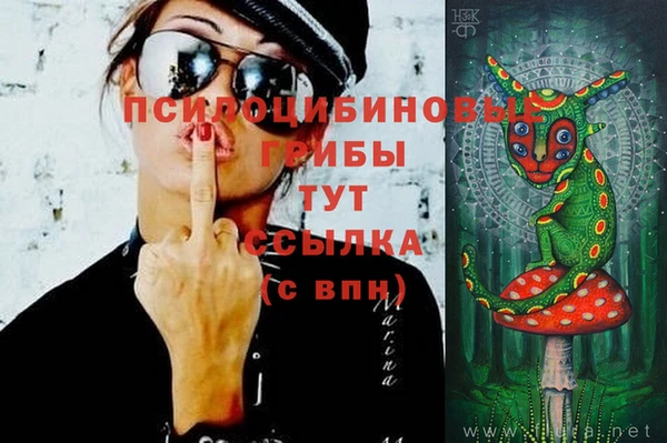 бутират Алзамай