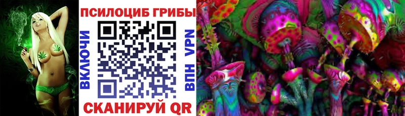 Псилоцибиновые грибы Psilocybe  Шумерля 